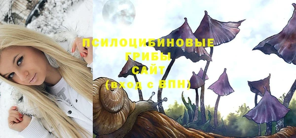 мескалин Белокуриха