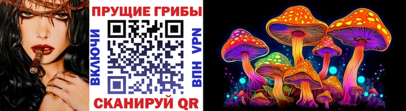 ОМГ ОМГ как зайти  Дальнегорск  Псилоцибиновые грибы прущие грибы  купить наркотики цена 