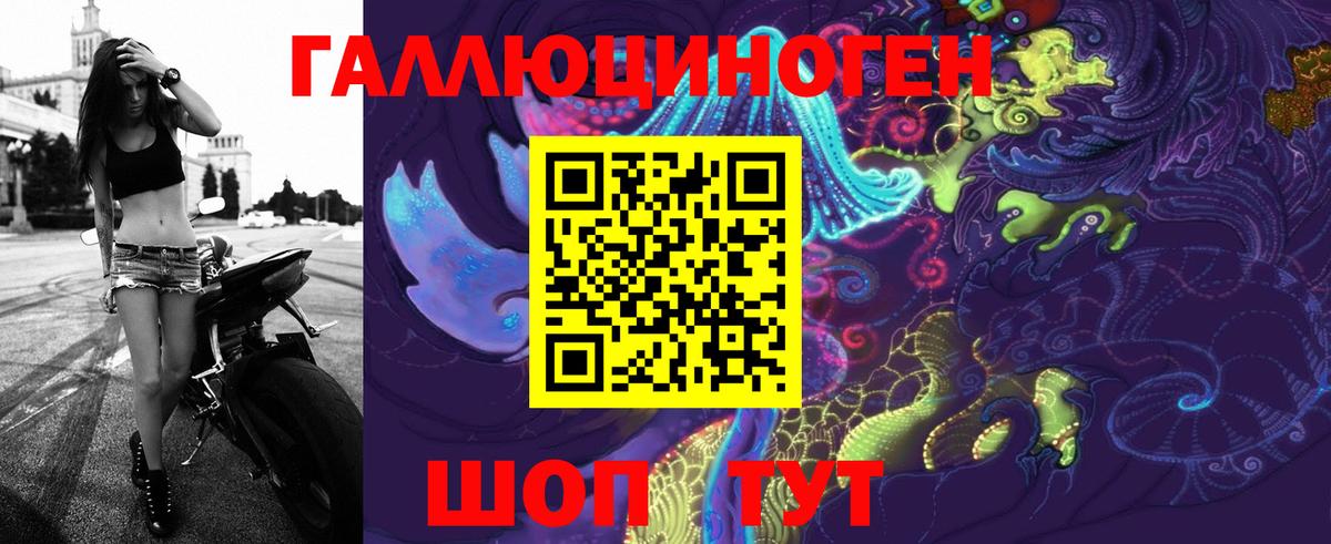 Псилоцибиновые грибы Psilocybe  Вход с VPN  Дальнегорск 