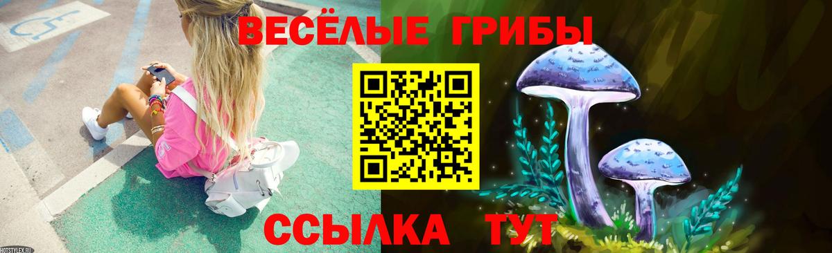 Галлюциногенные грибы мухоморы Дальнегорск
