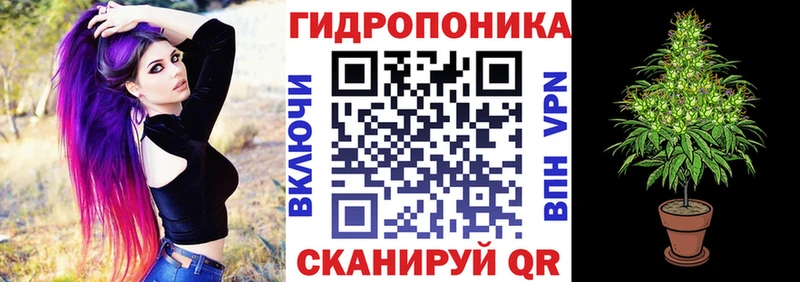 Марихуана Amnesia  продажа наркотиков  hydra зеркало  Дальнегорск 